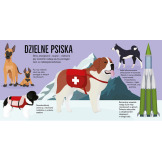 PSY. POP-UP rozkładana książka kartonowa Dawid Hawcock wyd. JupiJo 3+