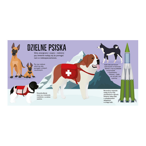 PSY. POP-UP rozkładana książka kartonowa Dawid Hawcock wyd. JupiJo 3+