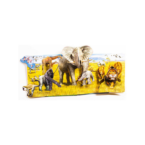 NIEZWYKŁE ZWIERZĘTA. POP-UP rozkładana książka kartonowa Cathy Jones wyd. JupiJo 3+