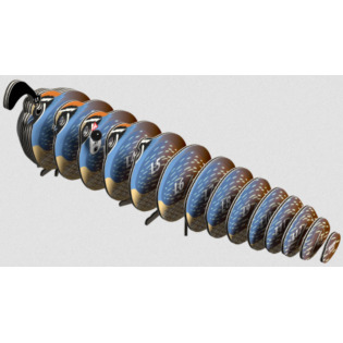 PRZEPIÓRKA układanka przestrzenna ptak 3D Eugy 6+