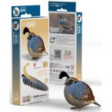 PRZEPIÓRKA układanka przestrzenna ptak 3D Eugy 6+