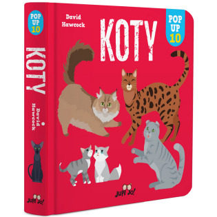 KOTY. POP-UP rozkładana książka kartonowa Dawid Hawcock wyd. JupiJo 3+