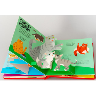 KOTY. POP-UP rozkładana książka kartonowa Dawid Hawcock wyd. JupiJo 3+