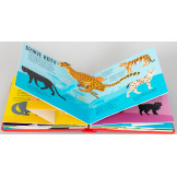 KOTY. POP-UP rozkładana książka kartonowa Dawid Hawcock wyd. JupiJo 3+