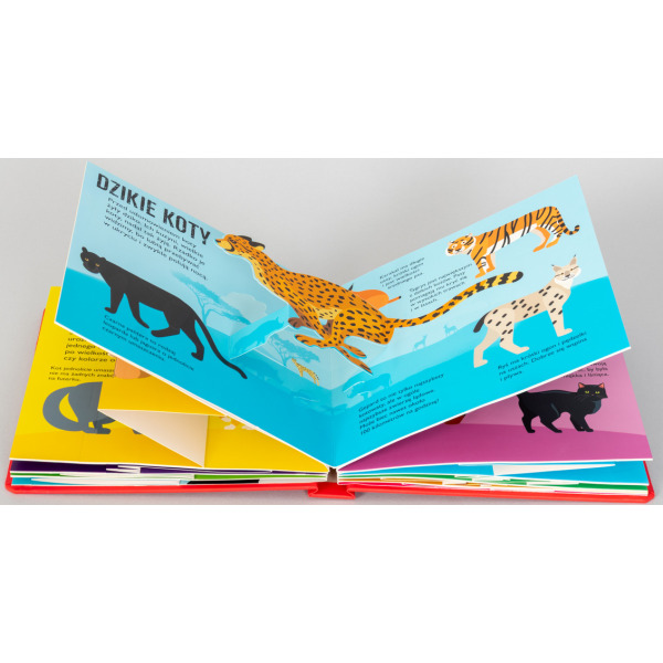 KOTY. POP-UP rozkładana książka kartonowa Dawid Hawcock wyd. JupiJo 3+