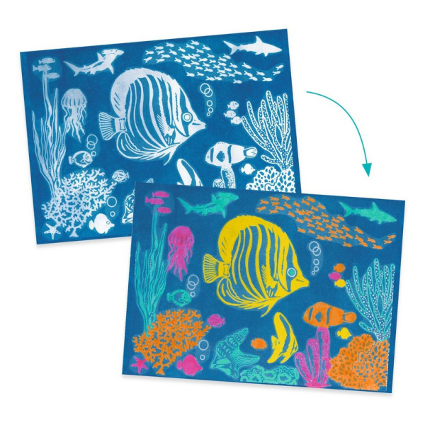 OCEAN zestaw kreatywny cyjanotypia Djeco 7+