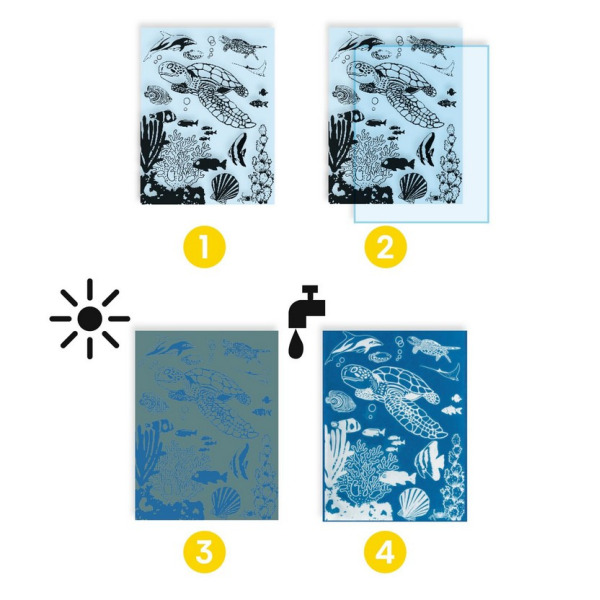 OCEAN zestaw kreatywny cyjanotypia Djeco 7+