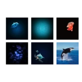 KIDYSTAR ocean projektor dla dzieci, który zamienia pokój w magiczną przestrzeń Kidywolf 3+