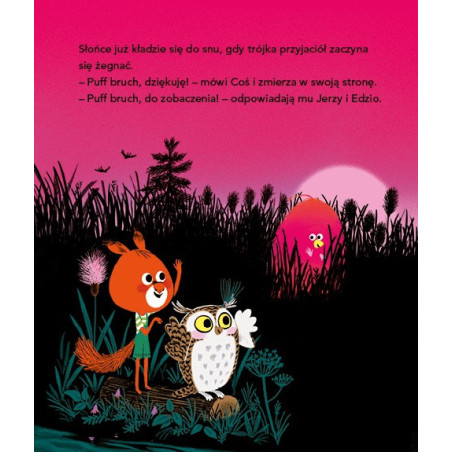 COŚ książka Astrid Desbordes, Marc Boutavant