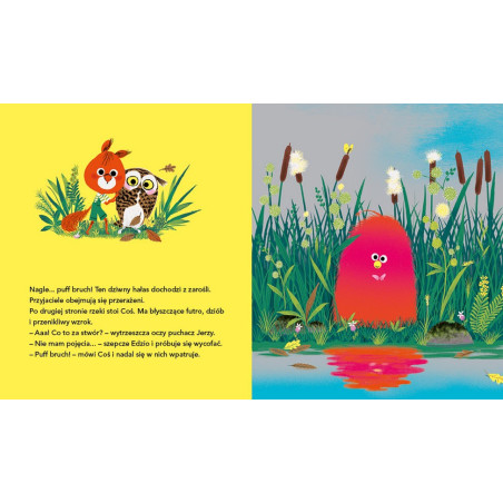 COŚ książka Astrid Desbordes, Marc Boutavant