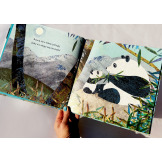 OD KIEDY JESTEM TWOJĄ BABCIĄ książka w twardej oprawie Susannah Shane wyd. HarperKids