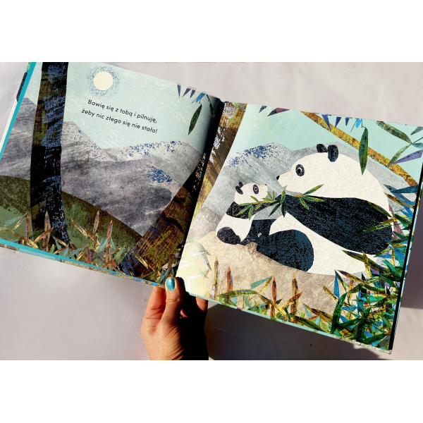 OD KIEDY JESTEM TWOJĄ BABCIĄ książka w twardej oprawie Susannah Shane wyd. HarperKids