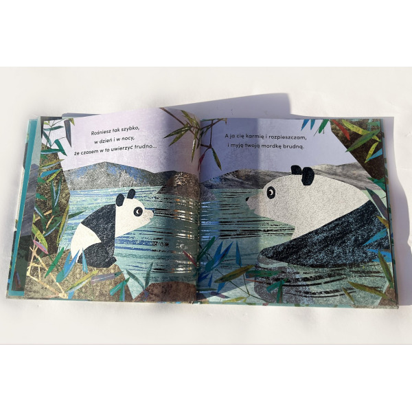 OD KIEDY JESTEM TWOJĄ BABCIĄ książka w twardej oprawie Susannah Shane wyd. HarperKids