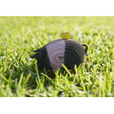 ŚWINKA układanka przestrzenna ssak 3D Eugy 6+