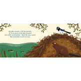 ROK W LESIE. ZASYPIANKA książka kartonowa Tomasz Plebański, Emilia Dziubak wyd. Nasza Księgiarnia