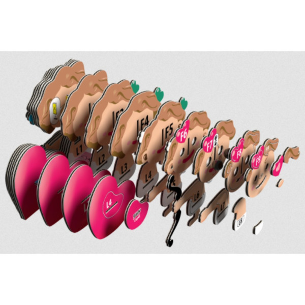 AMOREK układanka przestrzenna 3D Eugy 6+