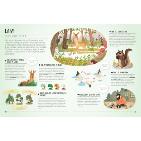 NIESAMOWITA NATURA. SZTUKA PRZETRWANIA książka