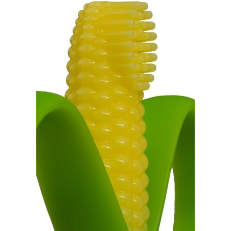 KUKURYDZA zielona szczoteczka treningowa