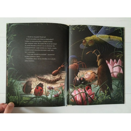 TYCZKA W KRAINIE SZCZĘŚCIA książeczka dla dzieci