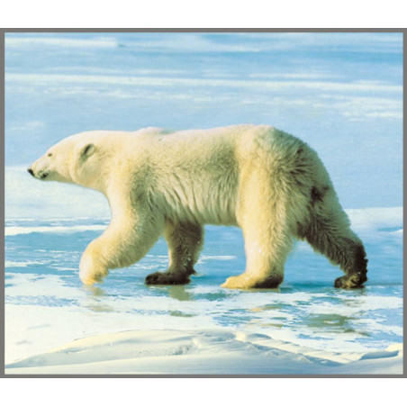 DZIKIE ZWIERZĘTA projektor ze slajdami