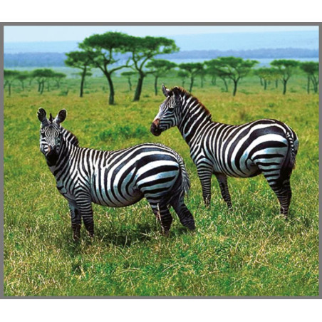 DZIKIE ZWIERZĘTA projektor ze slajdami