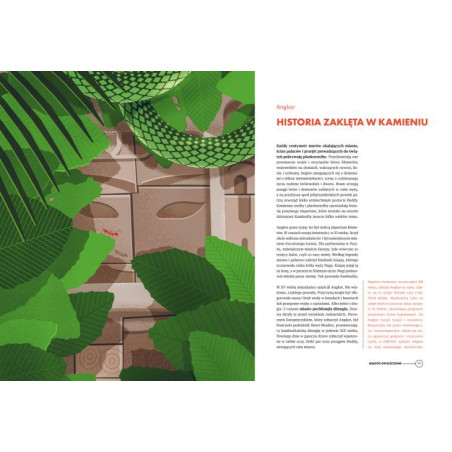 ALE MIASTA książka Joanna Łozińska