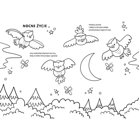 BROKATOWE SOWY kolorowanka z naklejkami