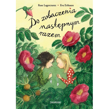 DO ZOBACZENIA NASTĘPNYM RAZEM książka Rose Lagercrantz