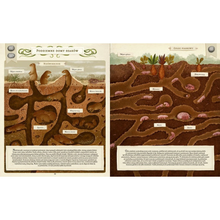 CO BUDUJĄ ZWIERZĘTA? książka Emilia Dziubak