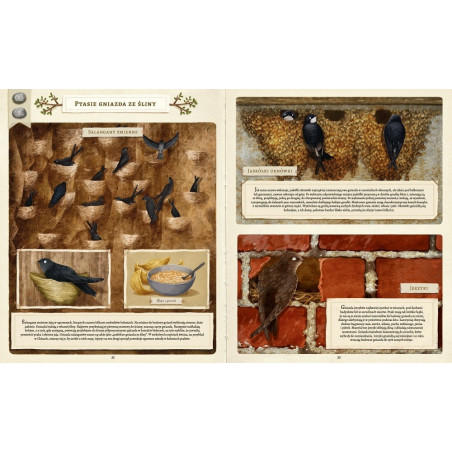 CO BUDUJĄ ZWIERZĘTA? książka Emilia Dziubak