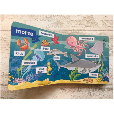 ZWIERZĘTA 100 pierwszych słówek książeczka