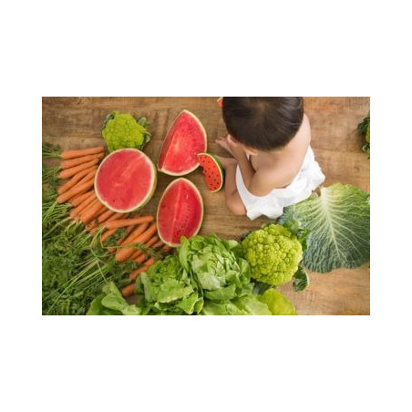 ARBUZ WALLY gryzak kauczukowy Hevea