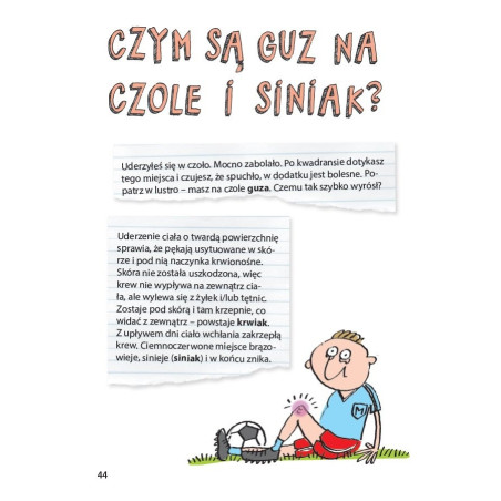 JAK TO DZIAŁA? LUDZKIE CIAŁO książka Patrycja Zarawska