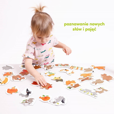 ZWIERZĄTKA W LESIE puzzle tekturowe progresywne 9w1