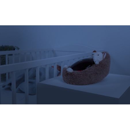 JEŻ projektor zachodzącego słońca