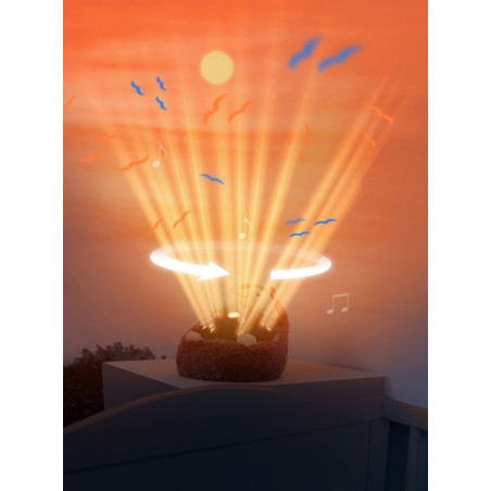 JEŻ projektor zachodzącego słońca