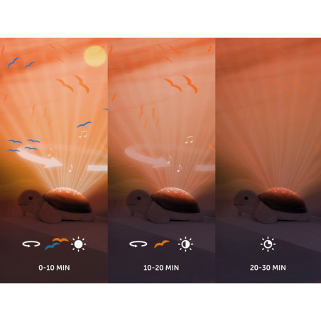 ŻÓŁW projektor zachodzącego słońca