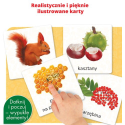 MONTESSORI. PRZYRODA karty sensoryczne