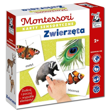 MONTESSORI. ZWIERZĘTA karty sensoryczne